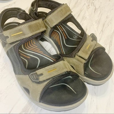 ecco receptor olive