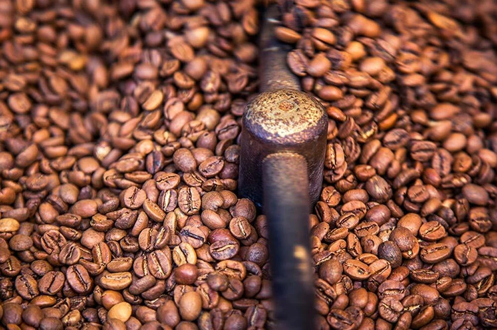 Gourmet 2024 coffee beans