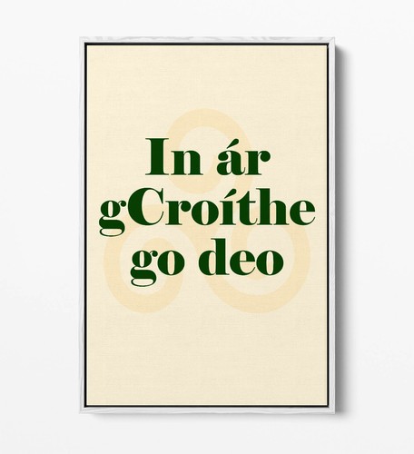 IN ÁR GROÍTHE GO DEO IRISH GAEILGE QUOTE -FLOAT EFFECT FRAMED CANVAS WALL PRINT - Picture 8 of 12