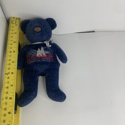 Vintage Knoebels Teddy Bear Blue Beanbag Plush Stuffed Animal Toy 8" Mary Meyer - Picture 2 of 7