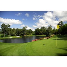 Golf Course Backdrop - Woodland Green Grass Lawn Flag Lake Sports Backgrounds...