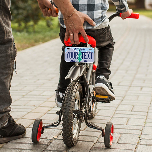 Custom state License Plates with personalized text Car 12x6- Moto 7x4 - Bike 6x3 - Picture 423 of 570