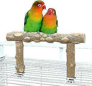 Bird Perchtand, Bird Cage Top Perch Gym,Natural Wood Parrot Branch formall S - Bild 1 von 7
