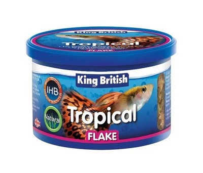 Fish Tropical Flake King British 12g