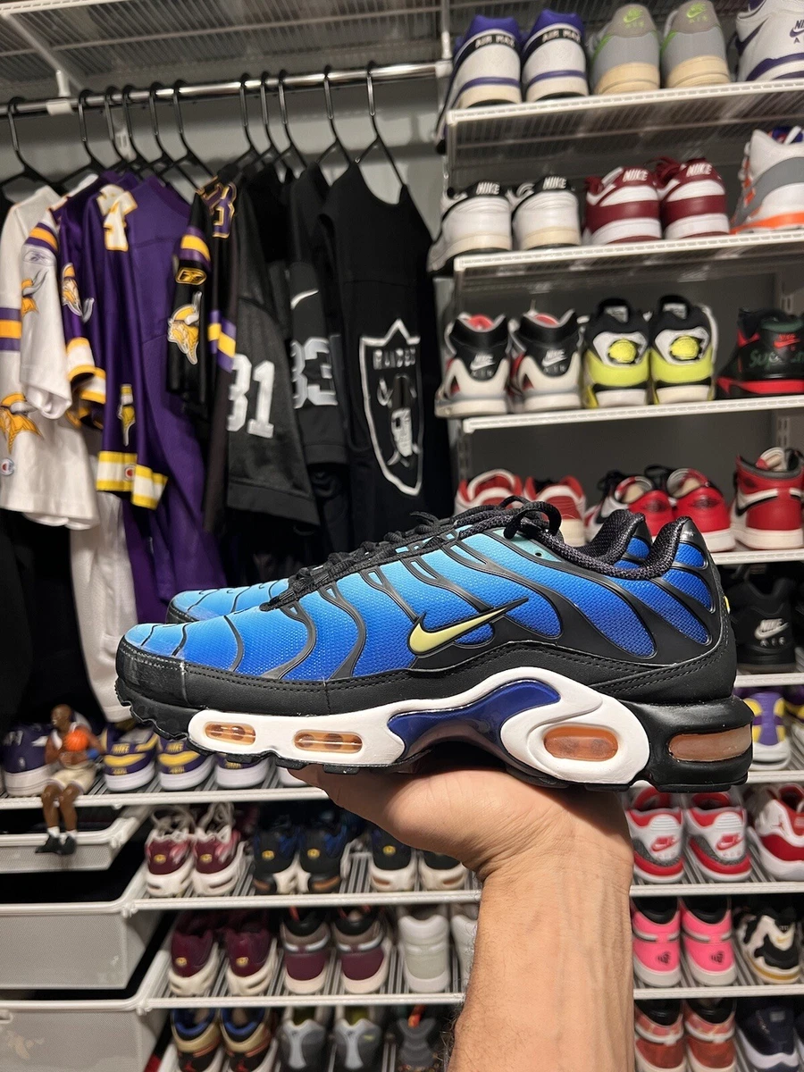 Nike air max sales plus size 12