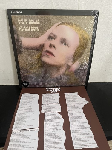 David Bowie Hunky Dory German Pressing 180g Vinyl NM | eBay