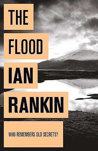 The Flood: From the iconic #1 bestselling author of A SONG FOR THE DARK TIMES - Image 5