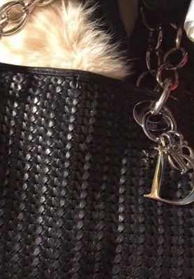 lady dior soft