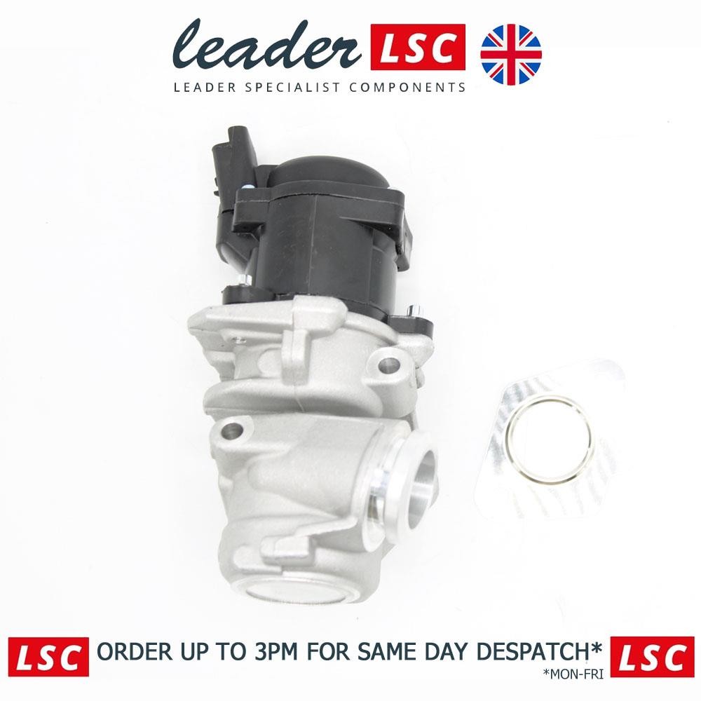 EGR Valve and Gasket Citroen C2 C3 C4 C5 Dispatch Xsara Picasso 161859 New