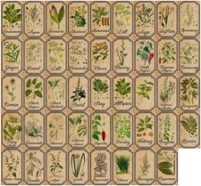 Herb and Spice Apothecary Labels Vintage 1.6x2.8 inch, Multicolor 