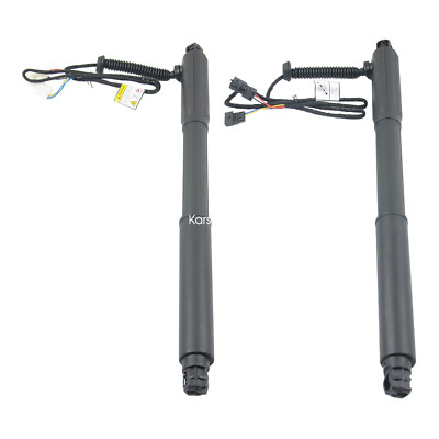 L+R Elektrische Gasfeder Powerlift Heckklappe für BMW X5 E70 3.0sd xDrive35i 40d