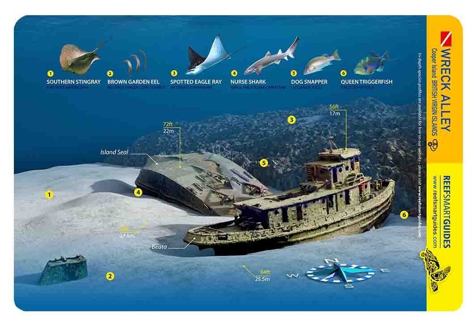 Wreck Alley BVI Waterproof Dive Card | eBay