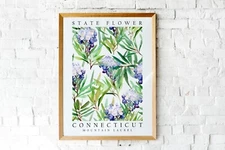 Mountain Laurel, Connecticut State Flower, Poster Print, Wall Décor