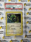 Rayquaza Holo Sea & Sky Premium Collection #029 2024 Pokemon PSA 8 142774373