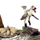Bild 8 von 9