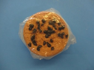 BASKIN ROBBINS  VANILLA ICE CREAM COOKIE SANDWICH (FREE SHIPPING)