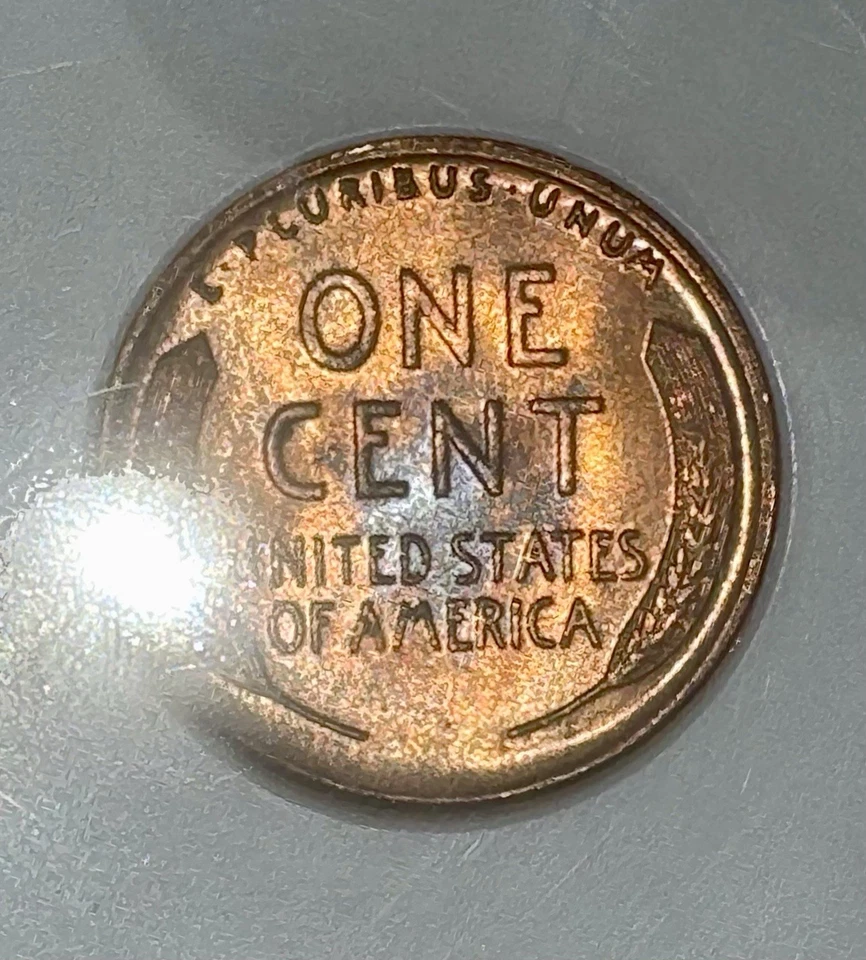 1936-D Lincoln Wheat Penny MS67 RD Blueberry Toned - Low Population! 🔴VIDEO🔴  - Image 3 of 4