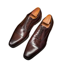 Handmade Cap Toe Brown Genuine Leather oxford Lace Up Office Dress Shoes For Men