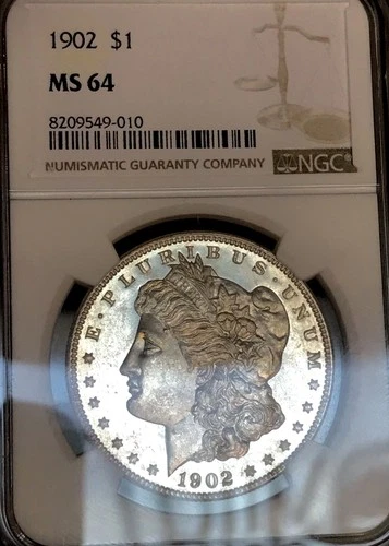 1902 P MORGAN DOLLAR NGC MS64**INCREDIBLE FIND! LOOKS PL++DEEP MIRRORS NR #64737