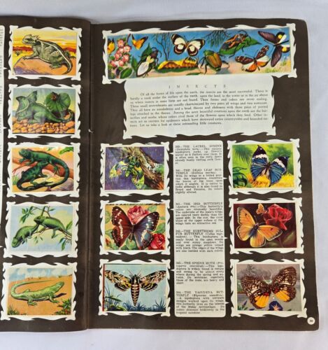 Wonders of the Animal Kingdom Sticker Book 1959 Complete with All Stickers - Picture 8 of 11