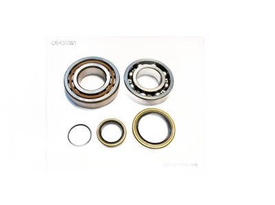 Bearing Worx Kurbelwellenlager KTM 250 300 EXC SX Husqvarna TE TC NTN 24-1098