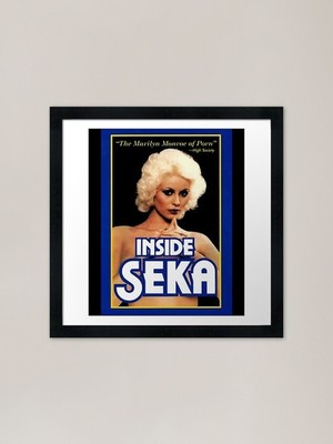 Inside Seka Framed Art Print Framed Wall Art Poster Canvas Print Picture