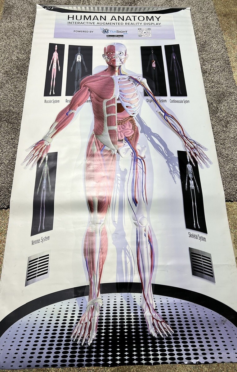 Augmented Reality Anatomy Virtual Reality In Education Mixed