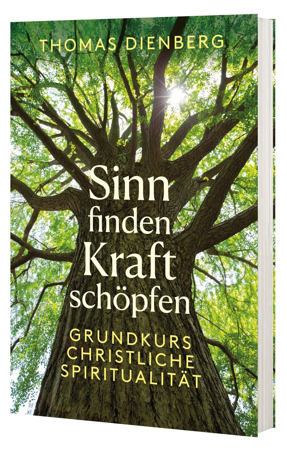 Thumbnail - Sinn Finden - Kraft Schöpfen | Grundkurs Christliche Spiritualität |