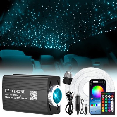 500x LED RGBW Sternenhimmel Auto Lichtfaser Glasfaser Optik Deckenleuchte 3M DE