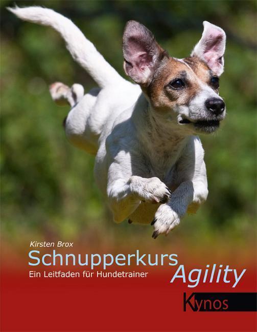 Thumbnail - Schnupperkurs Agility Kirsten Brox