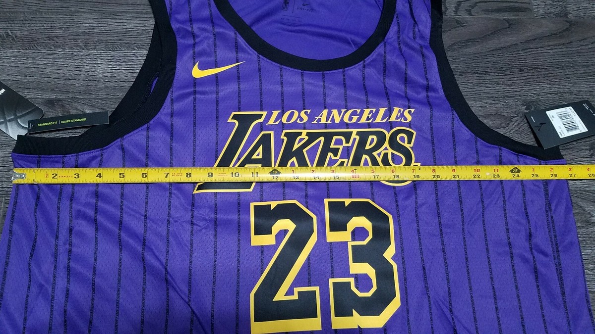 Nike LeBron James-LA Lakers,Women's,Large,Stitched,Black,Purple,Yellow, Jersey