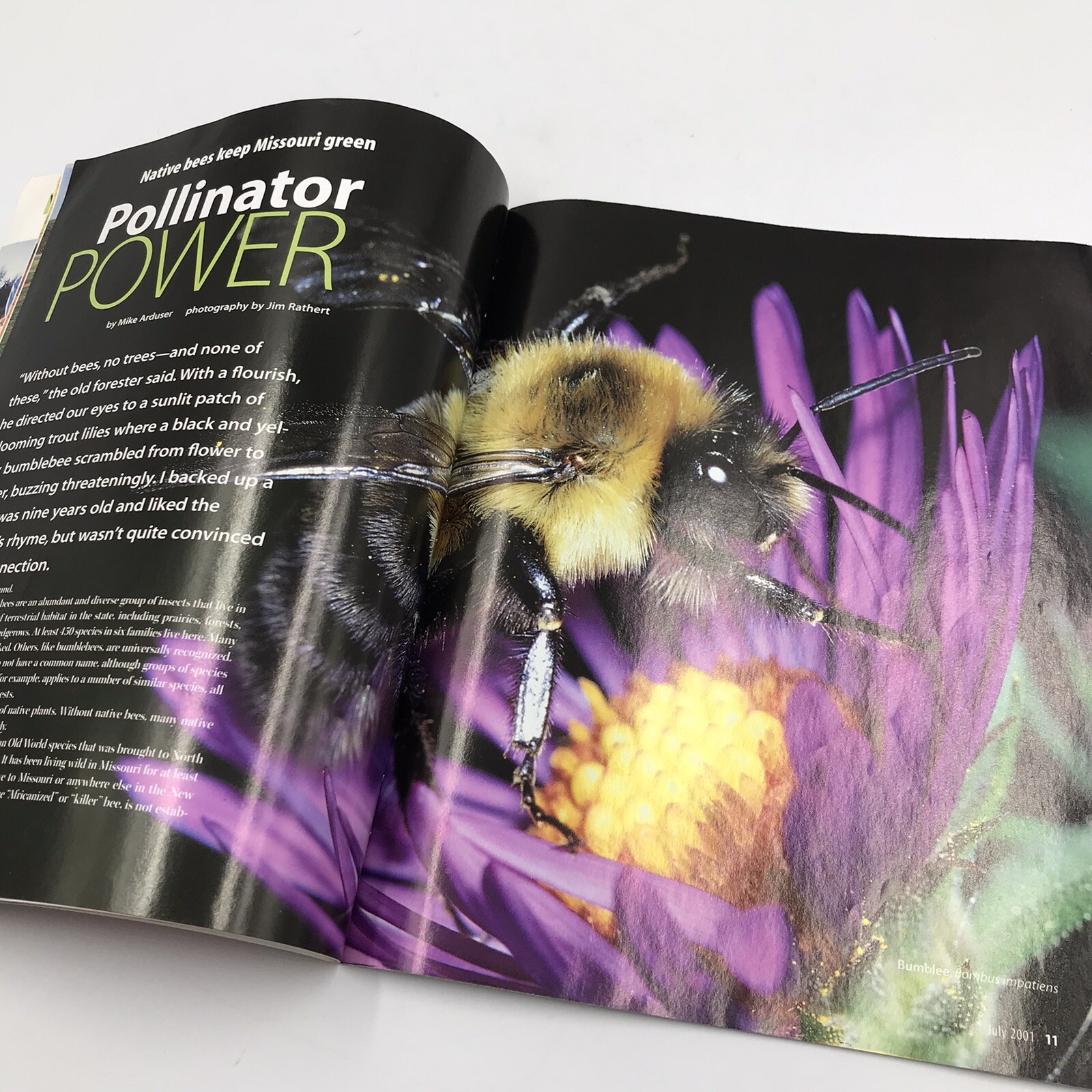 Vintage Missouri Conservationist Magazine July 2001 Vol 62 Issue 7 Hunting MDOC