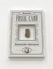 Release The Creatures: Dinosaurs! FOSSIL CARD Hadrosauridae indeterminate