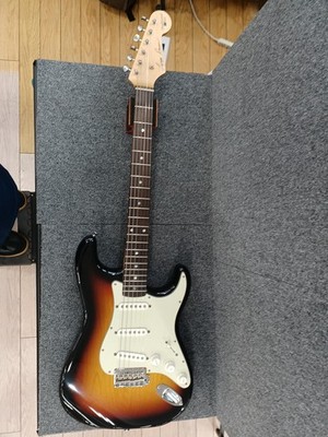 Seymour Duncan Ds-100 Electric Guitar | eBay