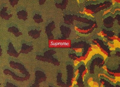 supreme Small Box L/S Tee Cheetah サイズM Supreme Small Box L S Tee (FW24) - $68