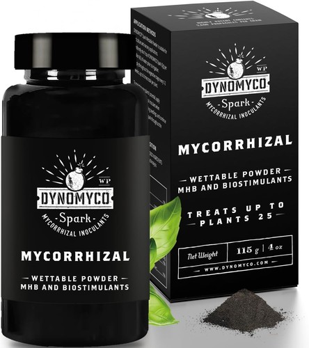 Wat mycorrhiza schimmels voor wietplanten doen