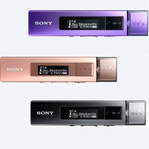 Sony Walkman NWZ-M504 NFC MP3 Player 8GB with Accessories 90% New