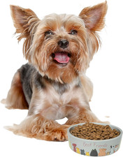 Best Friends Pet Food Dish - Food or Water Ceramic Bowl for Pets, Ideal for Smal