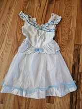 Disney Cinderella costume