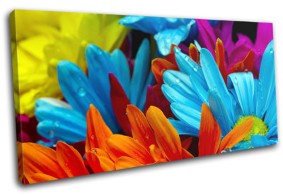 Gerber Blossom flower Floral SINGLE Leinwand Wand Kunst Bild drucken