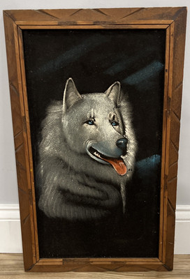 Vintage Oil Painting of Black and White Husky Wolf Wood frame On Black Velvet 22