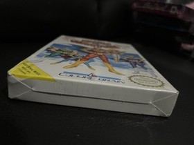 Flying Warriors Nintendo NES