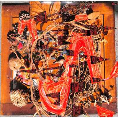 Merzbow / TSUBUTE MOSAIC / Modern Obscure Music / MOM049 / 12 Inch