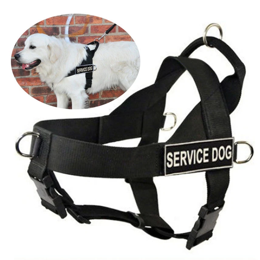 Dog harness patches velcro top