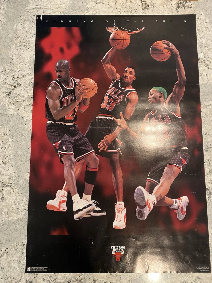 Michael Jordan 1996 Vintage Sports Posters for sale | eBay