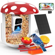Smart Bird Feeder with Camera 2K Live Real-Time Alert AI Identify with 32G Ca...
