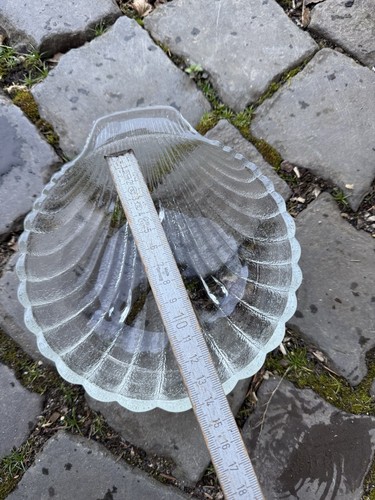 12 Glasschalen Dessertschalen Glas Eisschalen Muschel Jakobsmuschel - Bild 5 von 5