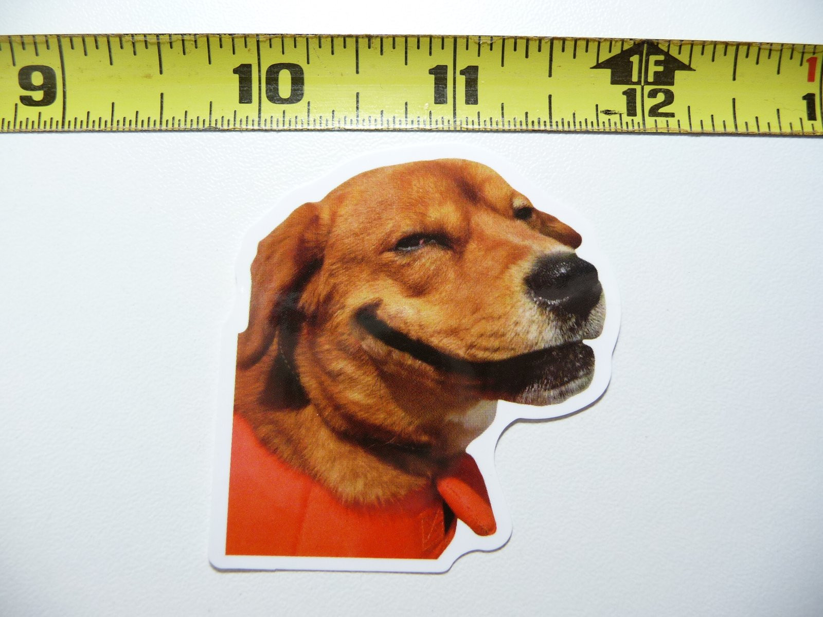 Funny Dog Decal Sticker for Pet Lovers and Furball Fans