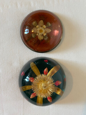 Schönes Vintage Paar echte Trockenblumen in Plexiglas klar Harz Briefbeschwerer