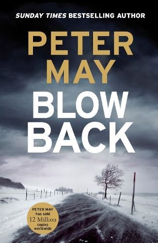 Blowback: The exciting penultimate case in the addictive crime series (The Enzo - Image 2
